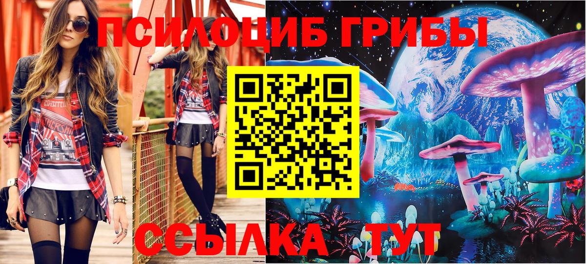 Ульяновск  Псилоцибиновые грибы мухоморы  Вход с VPN 