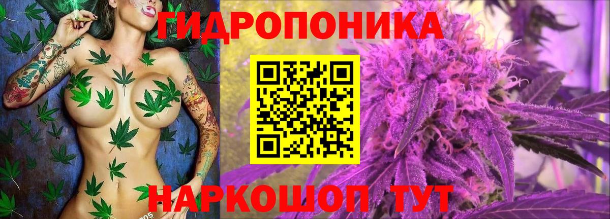 Ульяновск  Каннабис AK-47  Вход с VPN  Марихуана марихуана  Шишки марихуана AK-47 