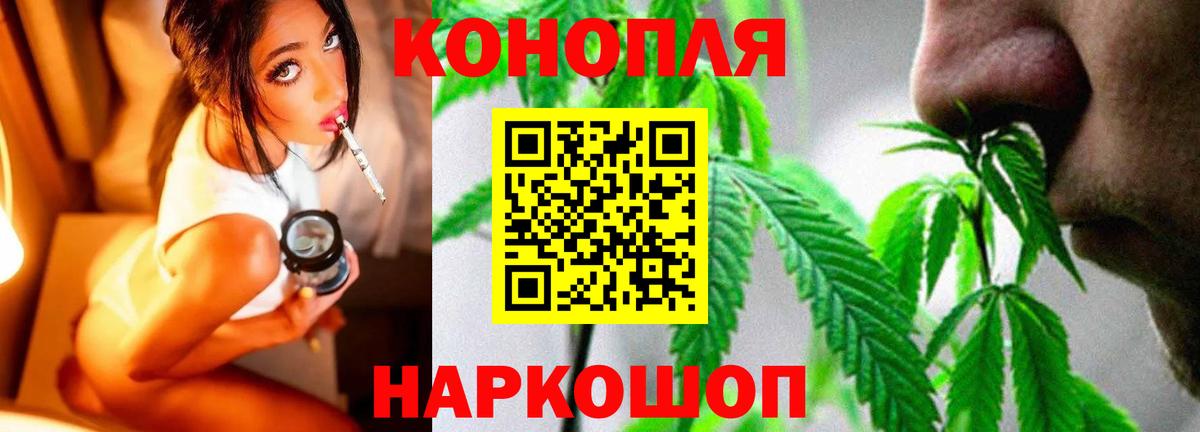 Бошки марихуана конопля Ульяновск